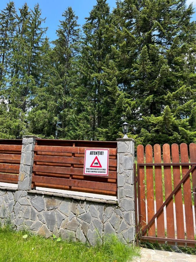 Vila 7 Predeal - Unique Location In The Forest Eksteriør bilde